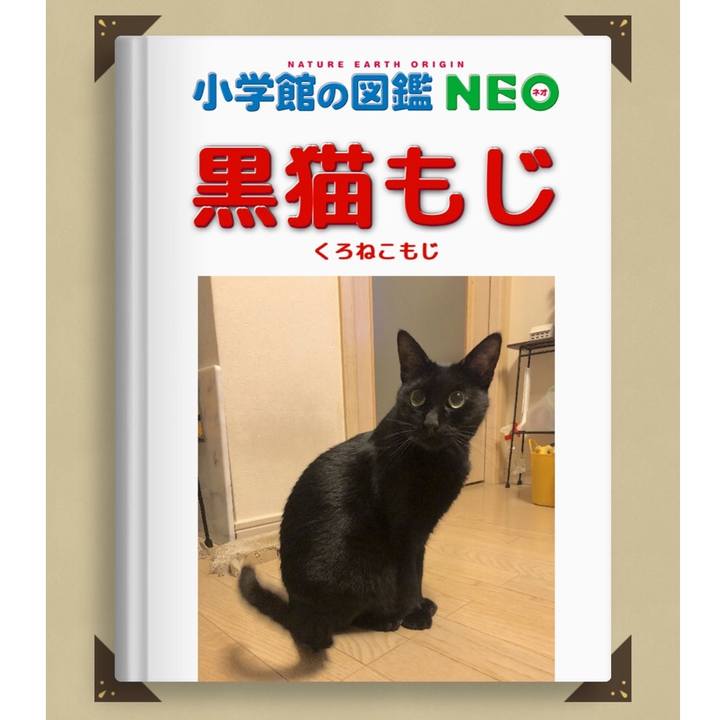 5c5c7b74 dfad 4f43 bc7a 66ed2366e6eb 1577957409060