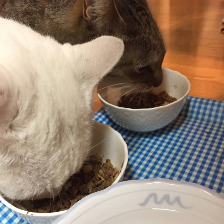 5c5c919e d7aa 4d54 876b 8d15d47f5cc7 1543182262861