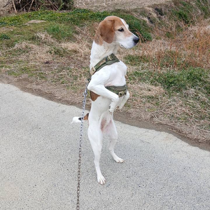 5c5c945f 6d81 4222 b564 0176a4e260d8 1770713845756