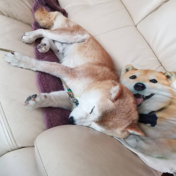 5c5ce52a 8a4e 4e22 8f11 ee733fb2408e 1658719526058