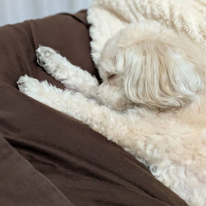 5c5cece8 813e 4424 a146 7ebbdcecbb75 1764675009654