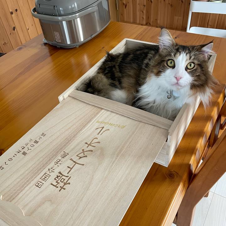 5c5d08ee 4a34 4db0 afbd f58cd4795363 1651370598681