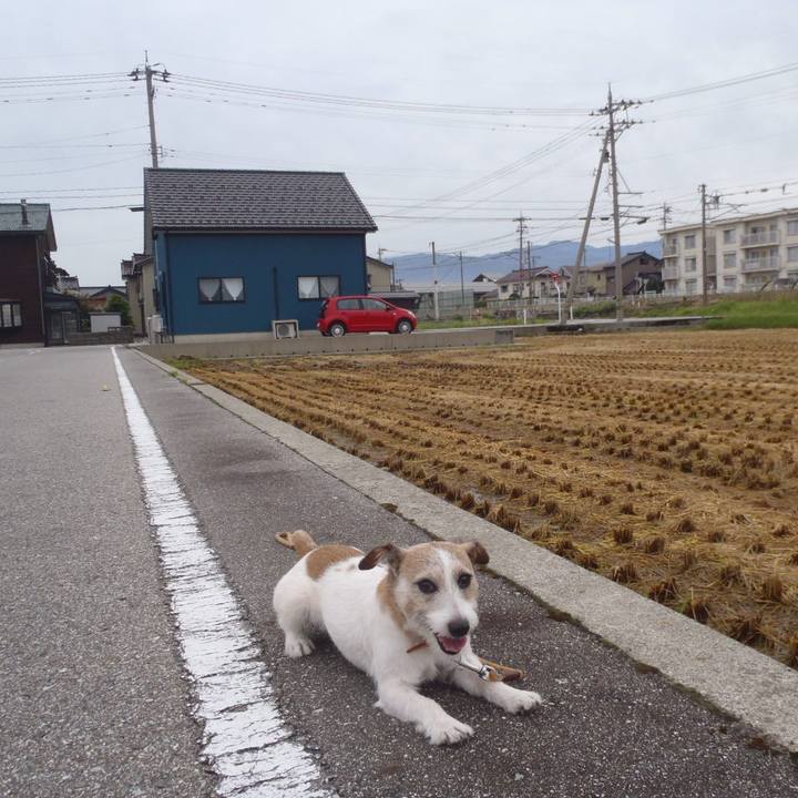 5c5d13fd 7cc2 4669 864b 1c571de5a9b9 1536731802658