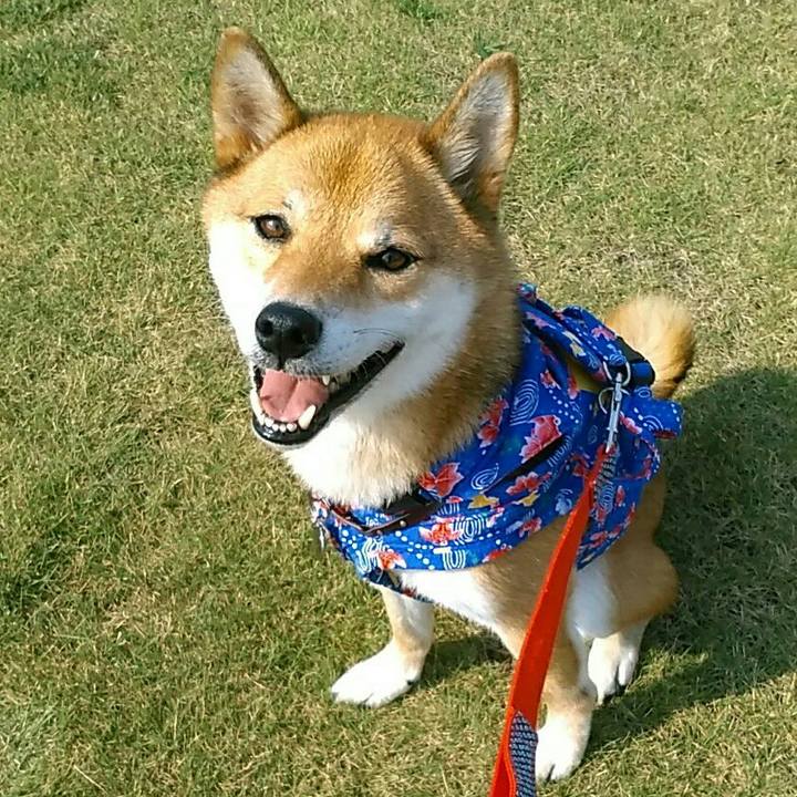 5c5d2e16 42cb 4a8a 8a67 e16752066492 1535674365750