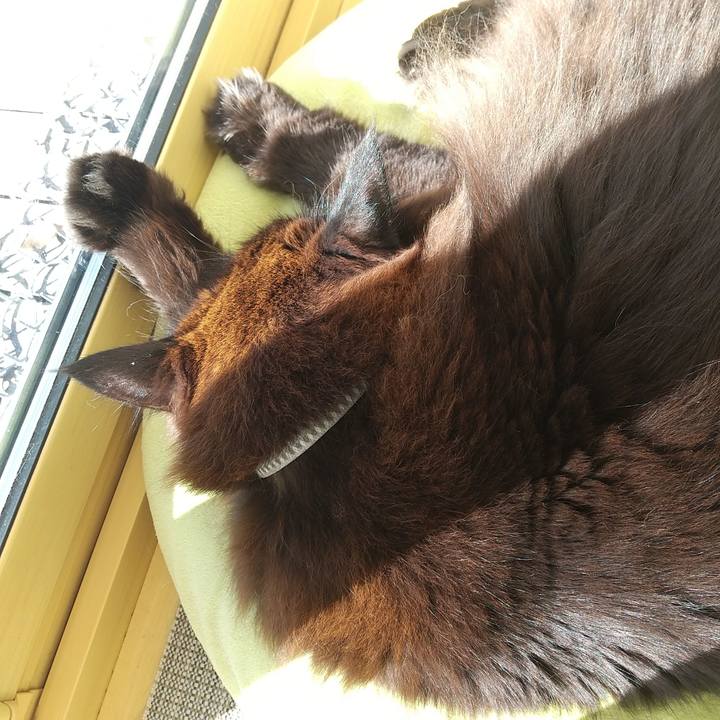 5c5d37bc 9a6f 4399 92b0 1f9ec71c7f96 1676595998214