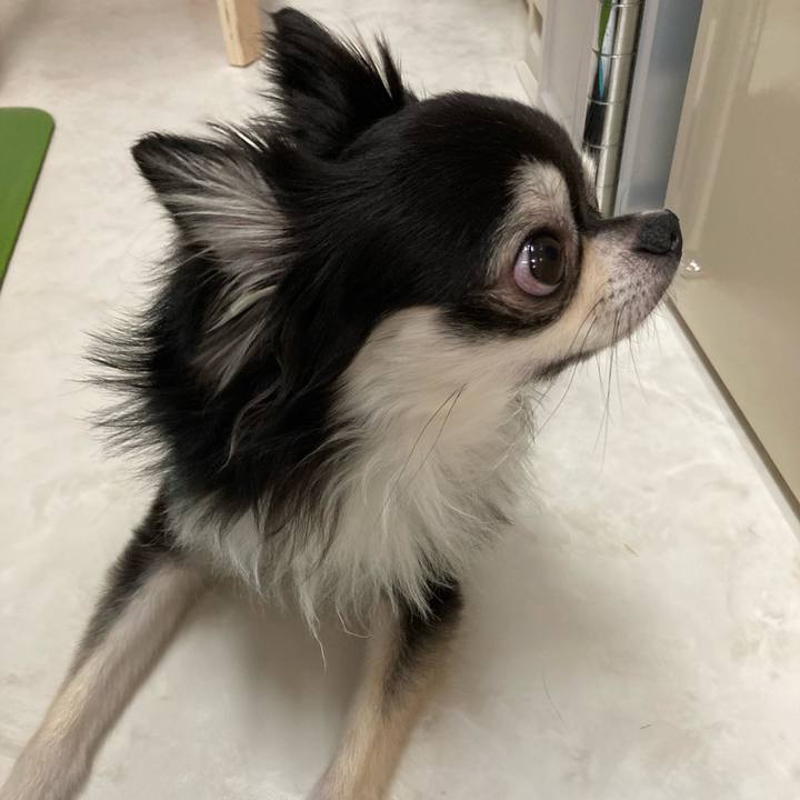 5c5d3f1d 4550 44b6 a78b a797f6035830 1656250868481