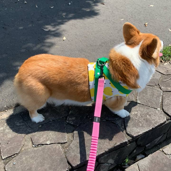 5c5d5939 3606 4521 92f4 60f2aef46337 1650336350458