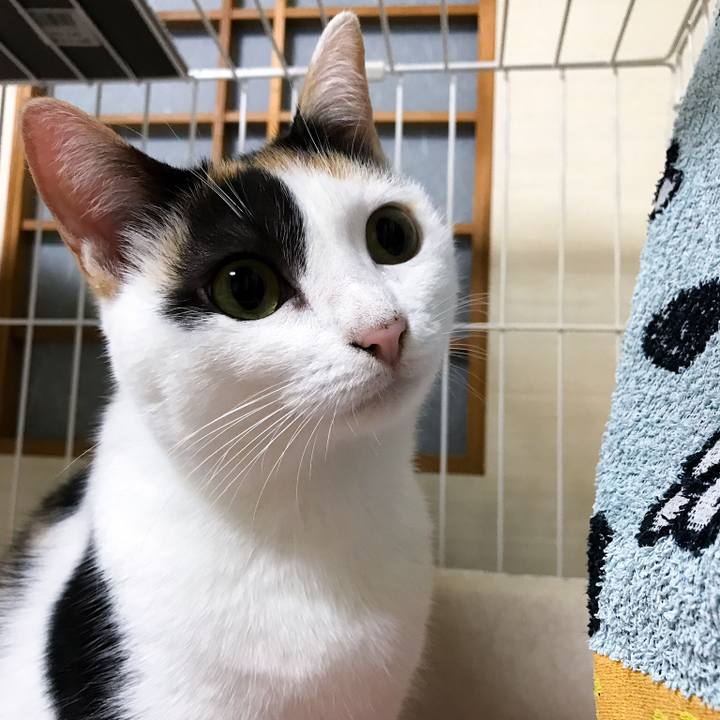 5c5d8377 cd3b 4a63 8eb3 fa85a9c3b626 1510239127691