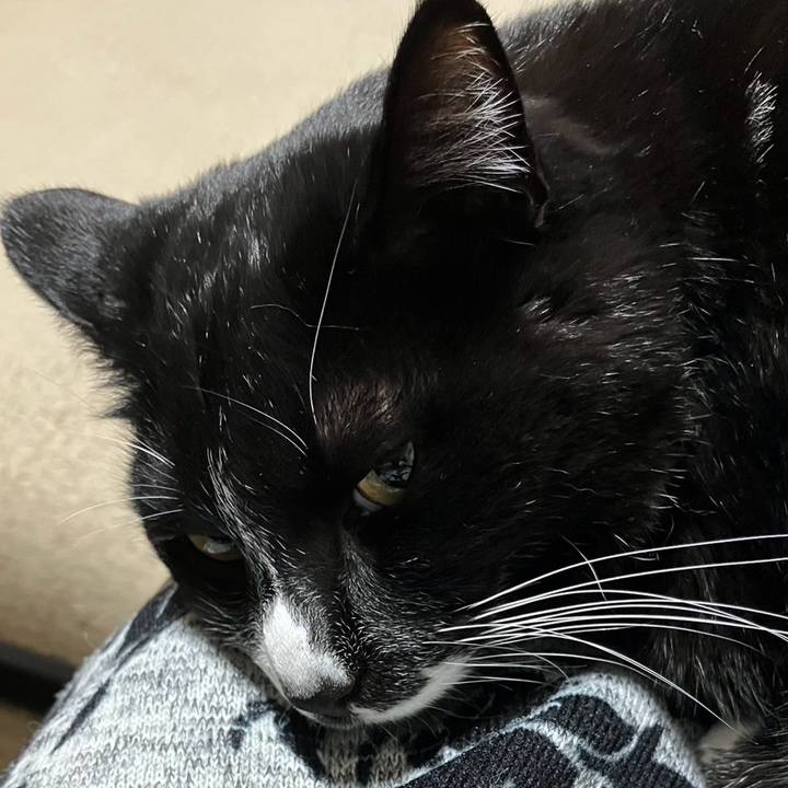 5c5d8fa3 5652 4783 90b7 a23e65904d94 1746852132368