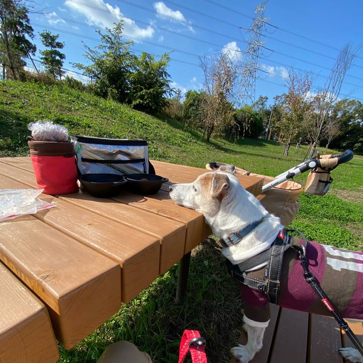 5c5da5e1 11be 46fb b725 bce3a6b5f794 1635915417221