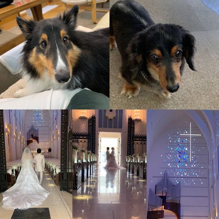 5c5db9e5 1a5c 4370 99ed c4411b3c5f78 1597286889398