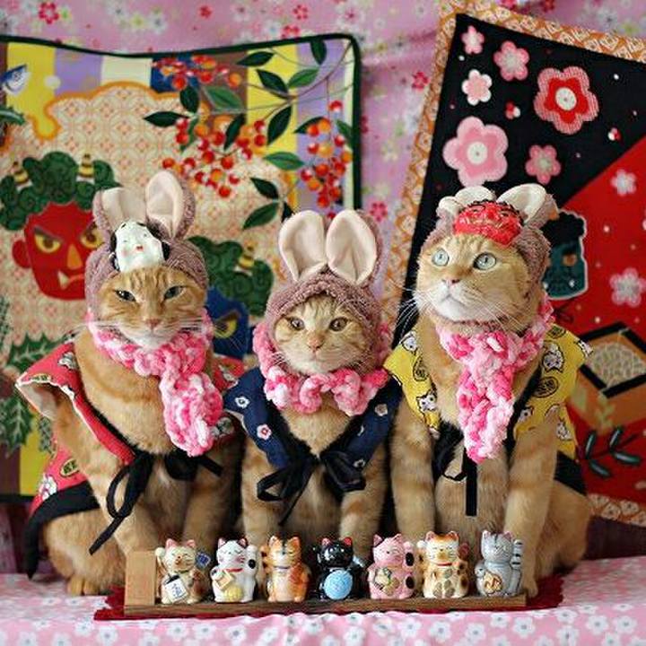 5c5dc284 174e 497a 997e 562e89536ae1 1549153038228