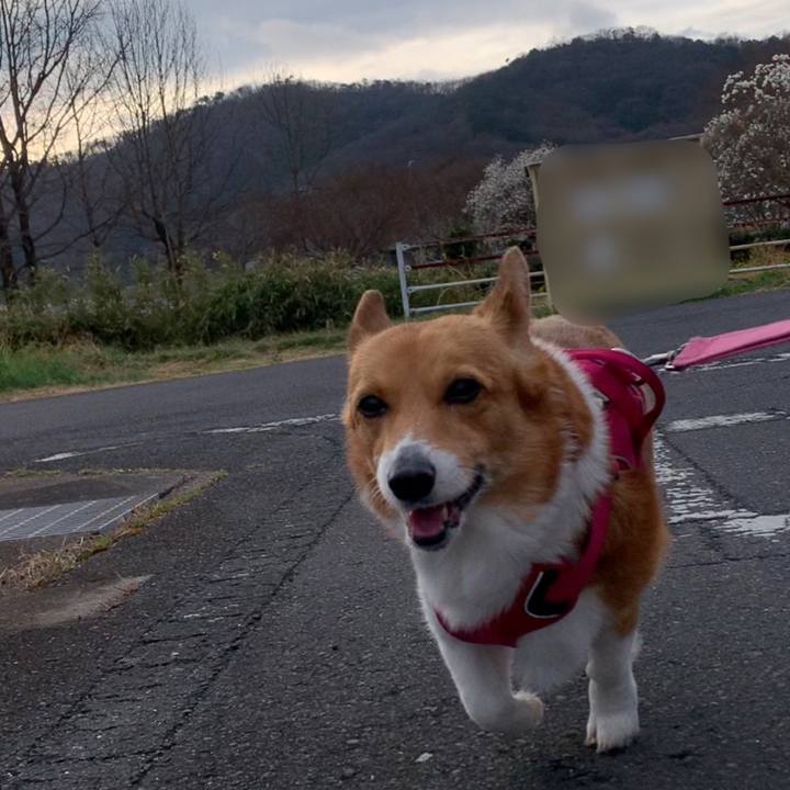 5c5debf1 56fd 4465 bd68 c2506d36253b 1678696385892