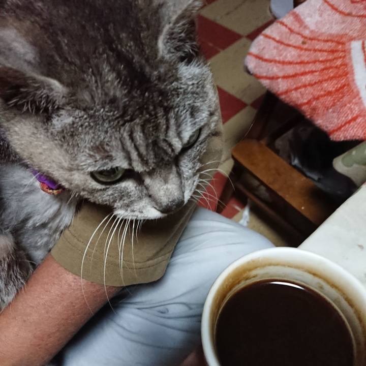 5c5dfc6e f96d 4469 bd2e da04b8bc6301 1593460757454