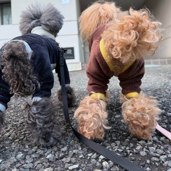 5c5e2f7b c6d3 42f6 84b4 577d0268f305 1773199745691