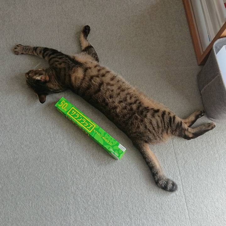 5c5e5e80 4613 4b08 9f54 df01ddb54365 1539146423513