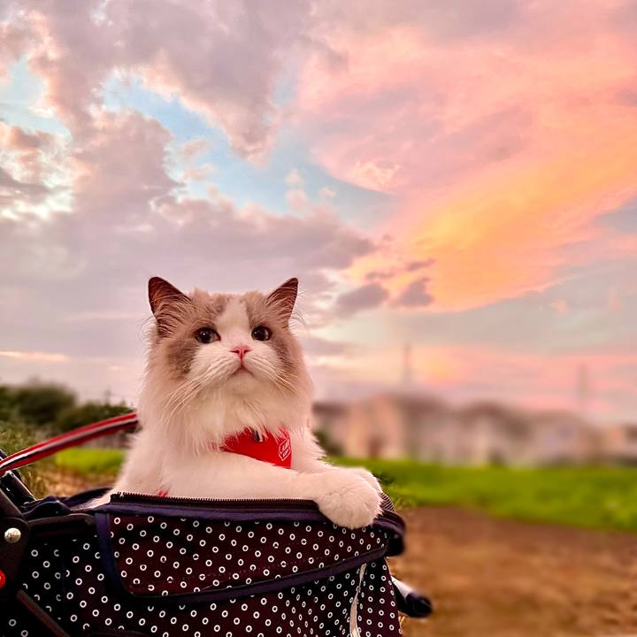 5c5e5edf d3e8 4b2a 8953 680bbff70c75 1658262825630