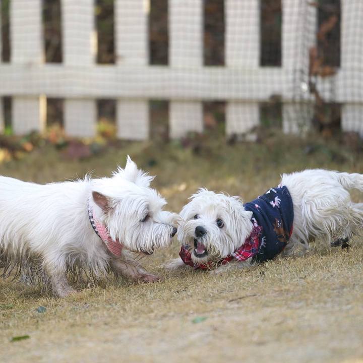 5c5e6557 6524 41e6 85b9 4242410bd7fe 1515328730894