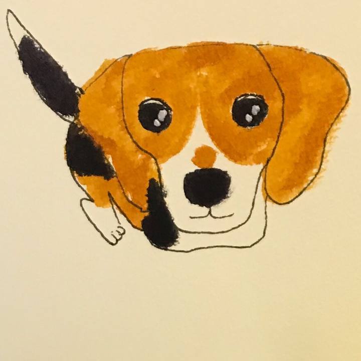 5c5e6b56 a8d9 4dd5 8e69 734a2d344340 1560862185086