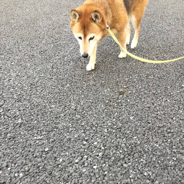 5c5ebbba eb85 4080 8e66 2ed9dd09c536 1632920117975