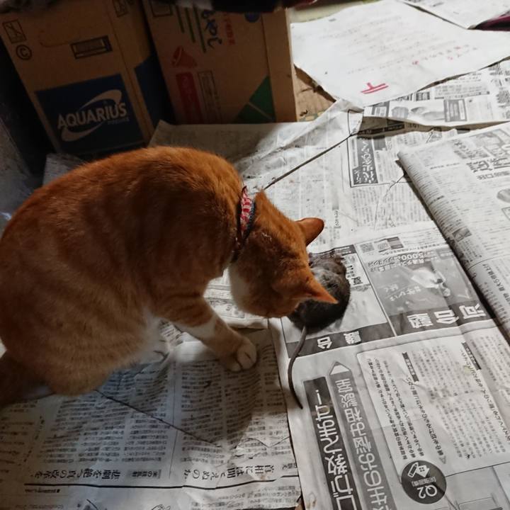 5c5ee986 9db6 499c 9fee 43bd3fe17230 1603488044873