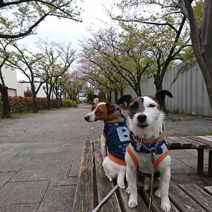 5c5f0a0d ad5d 4a8f a5d7 d33c99568f5b 1555021231385