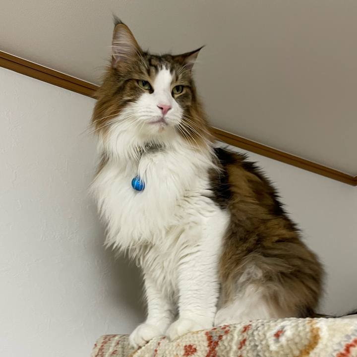 5c5f3652 1966 494b aa00 f41cbadb28ac 1706299259676