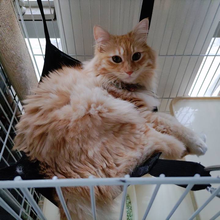 5c5f3a12 c24f 4431 8340 aeaed9e3e720 1658187237022