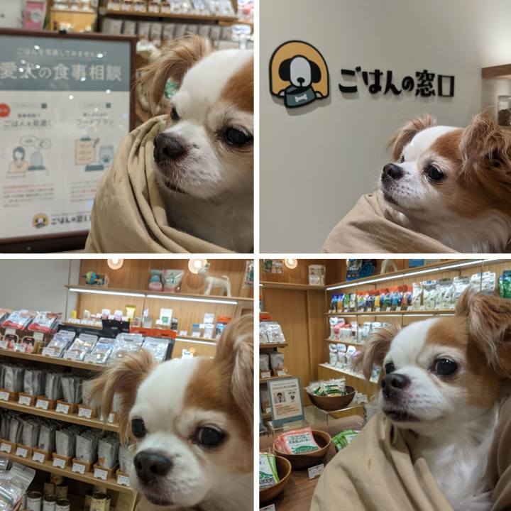 5c5f46bd 2359 43e6 8894 870ff3539986 1618737907648