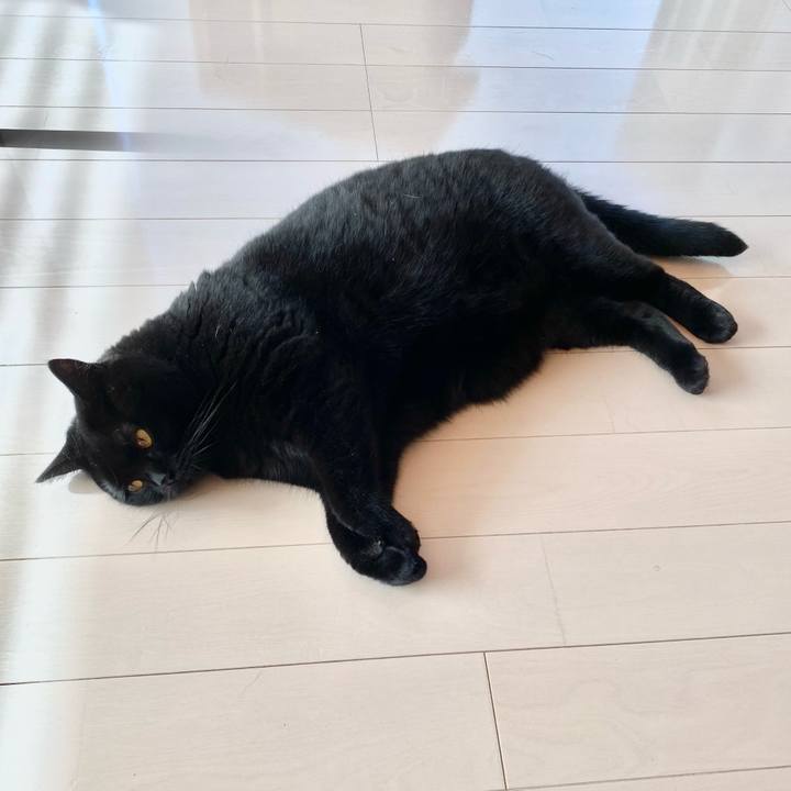 5c5f66f4 b4ed 4f99 acc4 a1e1a92d37ae 1631223925361