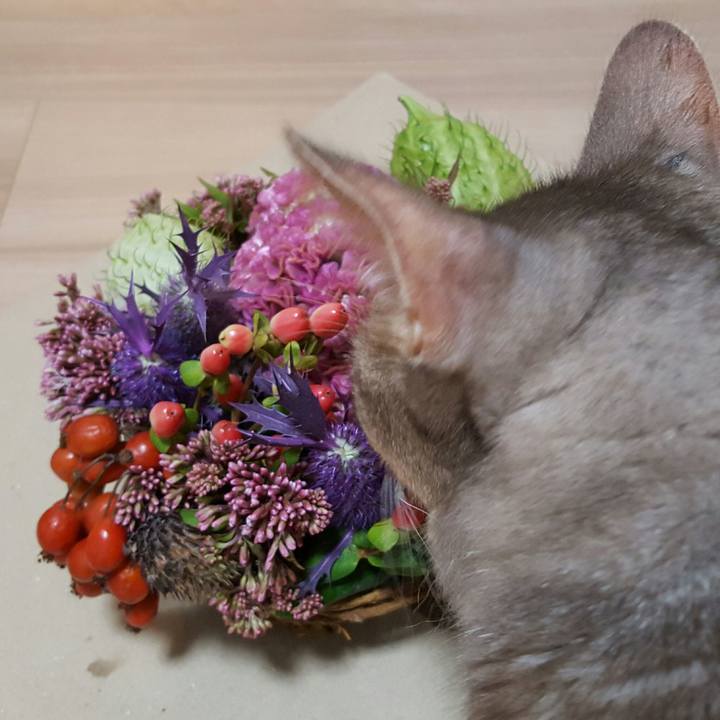 5c5f74e2 9515 47db 9cc5 f0687ec963fe 1559732775036