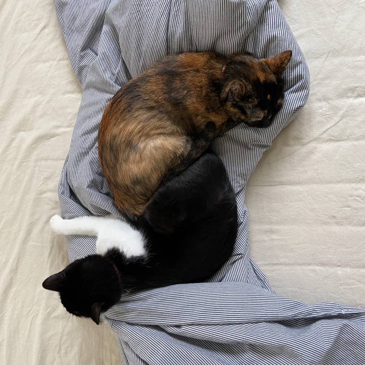 5c5f95ad 758e 4621 a2dc 157ead3f9922 1601079642518