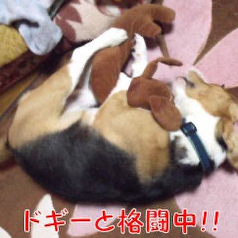 5c5faaba ef2c 4857 83e9 53ece78b3da3 1709690466123