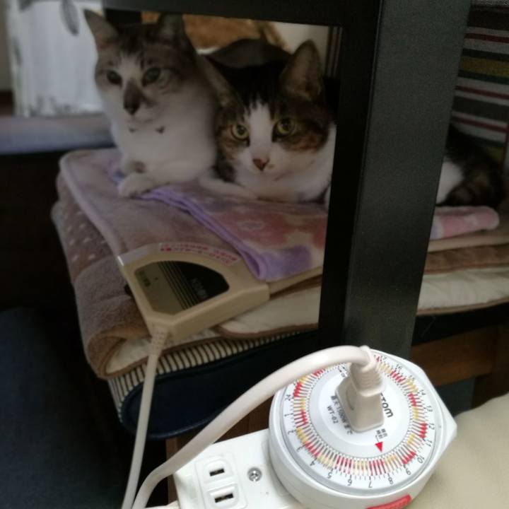 5c5faec9 1a69 40fb 817b e60a9194e1d4 1541031410784