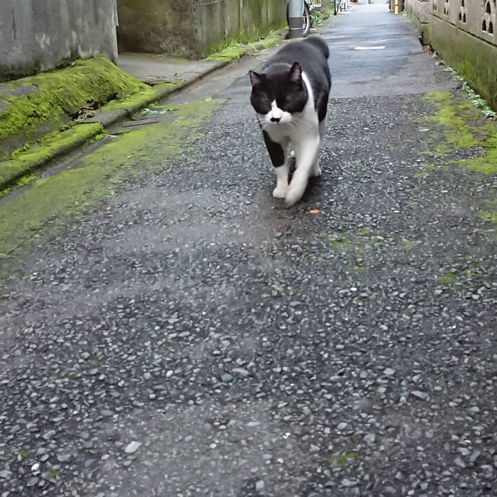 5c5fb341 32be 4130 8f04 c4e1b24f2b2e 1665216012677