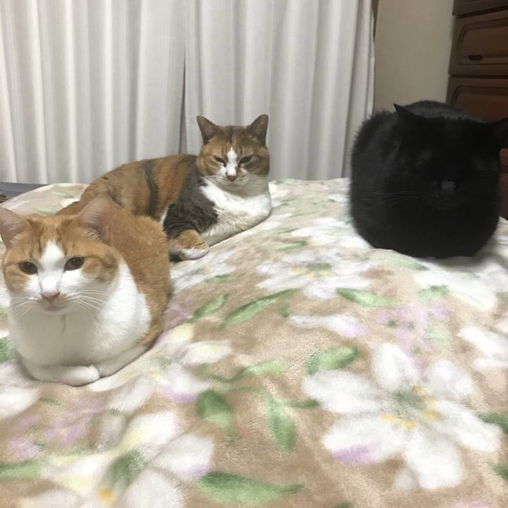 5c5fb403 e357 456e 9577 414ba0145d31 1609513345255