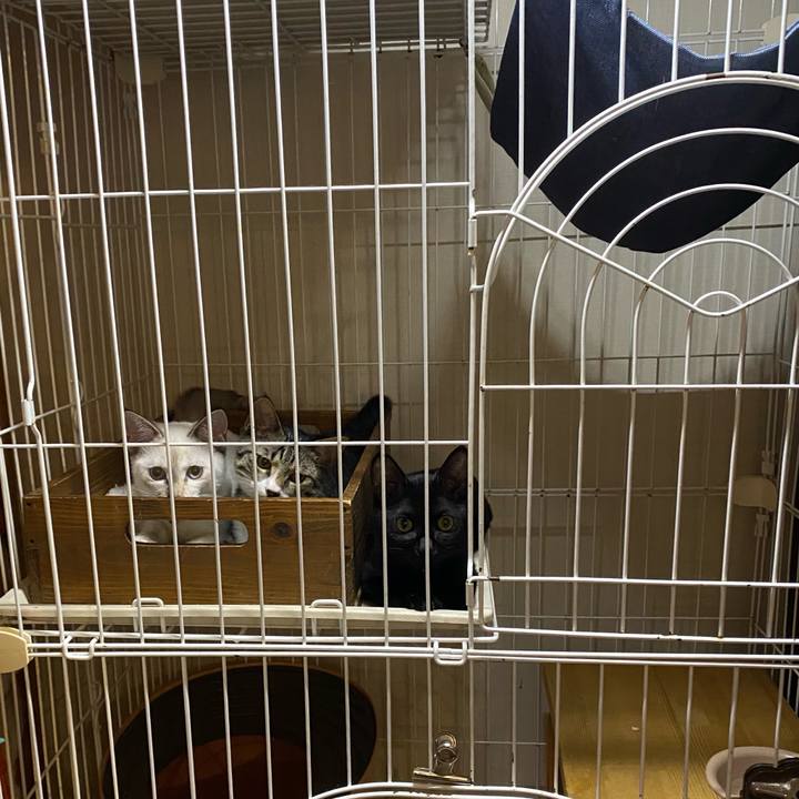 5c5fbdeb 2b9f 4703 b237 39f34bfc23c2 1631361911829