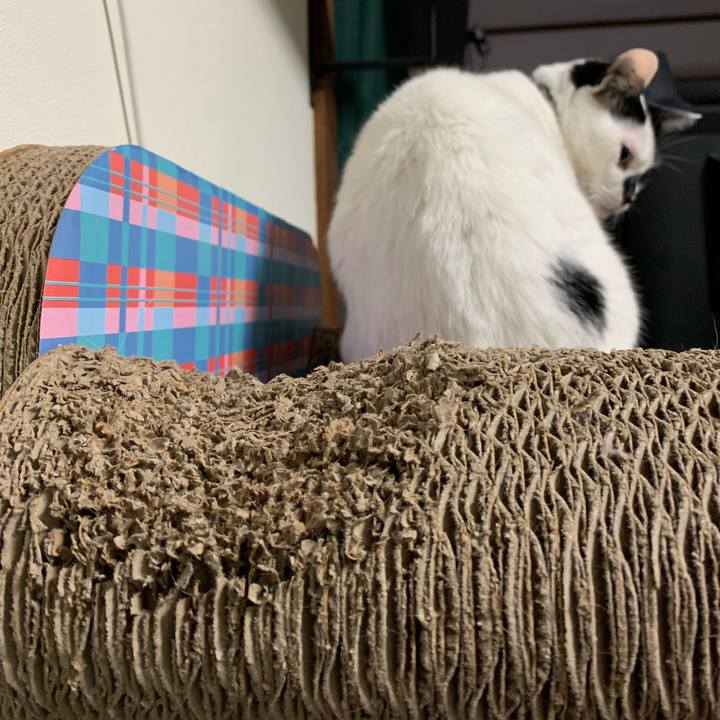 5c5fe167 c941 488b bdb9 b93025274ca6 1551950373023