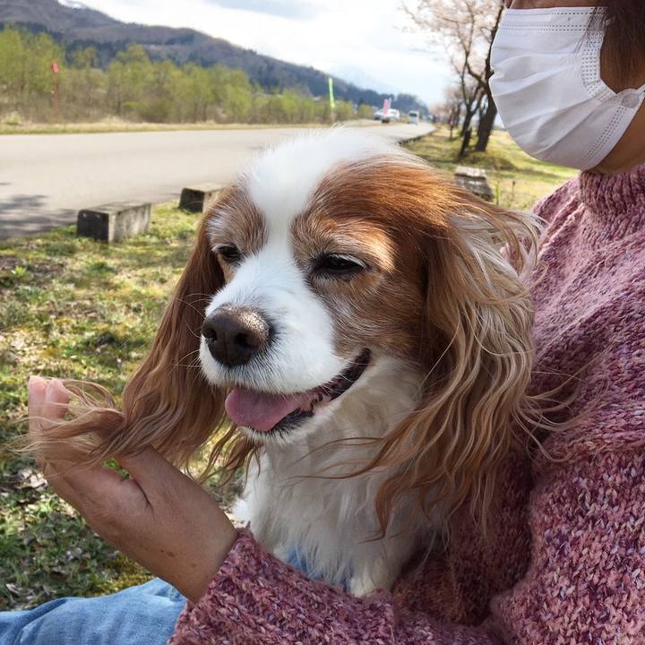 5c6001a0 a519 472f 9e5c bfbd5d65483e 1586771223875