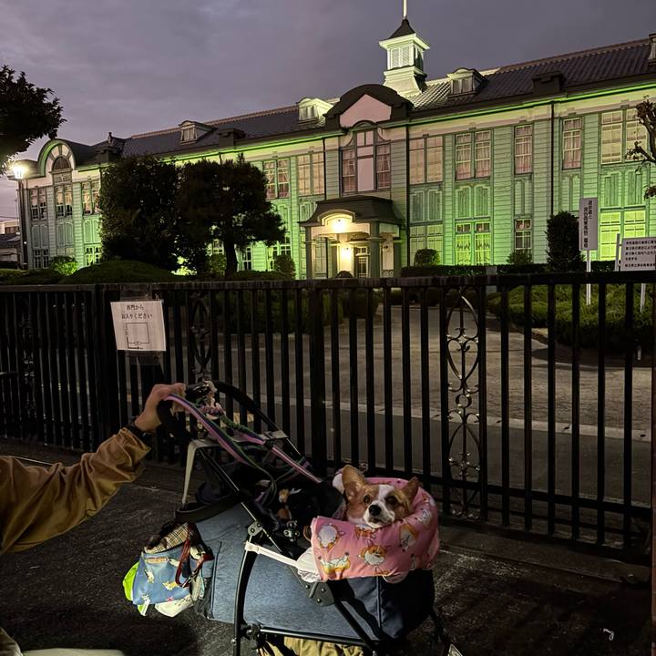 5c6022ba 5a37 4cbf a519 ca041cbcb11d 1763896400358