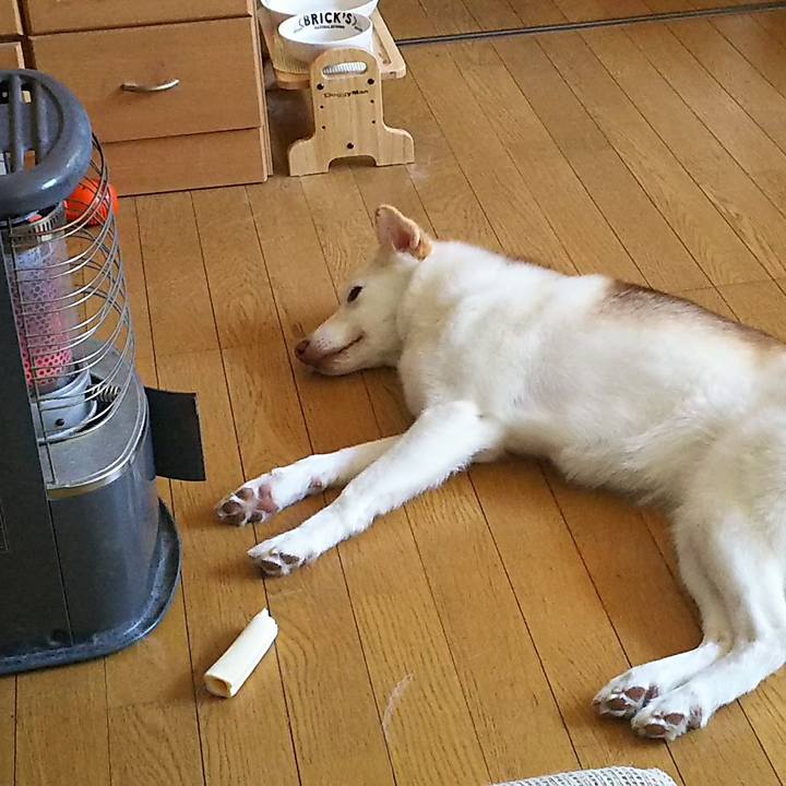 5c609d86 5583 43da be5d d91e1c98ab9c 1537914835644