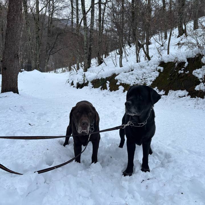 5c60b89b 5ee1 42f1 b09d cc35ada55df7 1766315587267