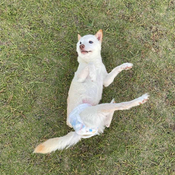 5c60bae3 4500 4c38 94be f0b9b2d837f1 1666288920264