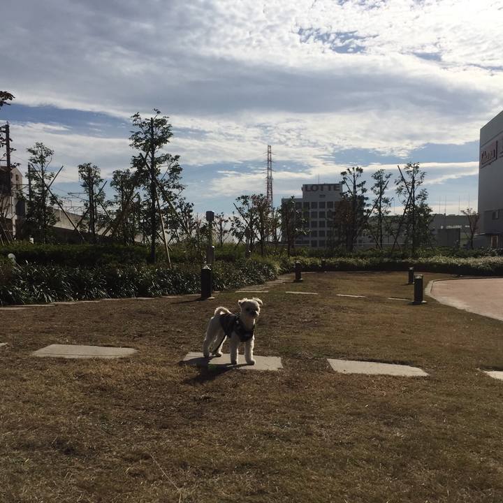 5c60c6b5 78ab 46fa bd66 abc04cbeb01b 1511701109654