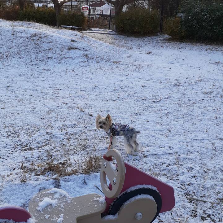 5c60c994 9ebb 4fa3 8d2b 899b6689c4b2 1642721912054