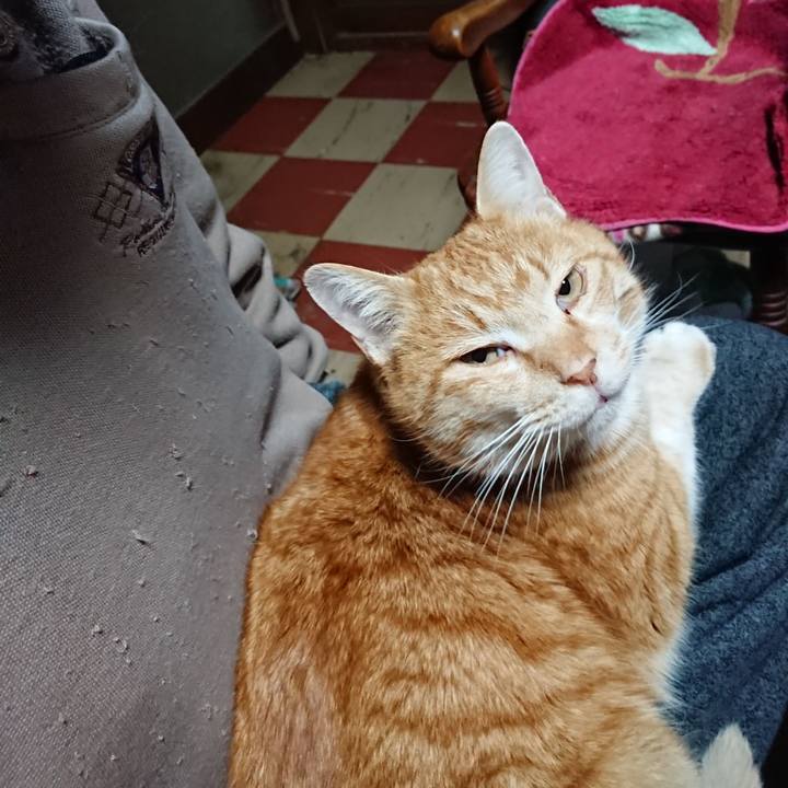 5c60e5a9 dcb1 43ab 90e1 c5e60d3e229a 1581022423407