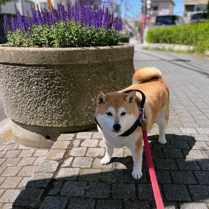 5c60fe43 cbde 4ef0 8ff6 8fbe69d1337b 1682559206665