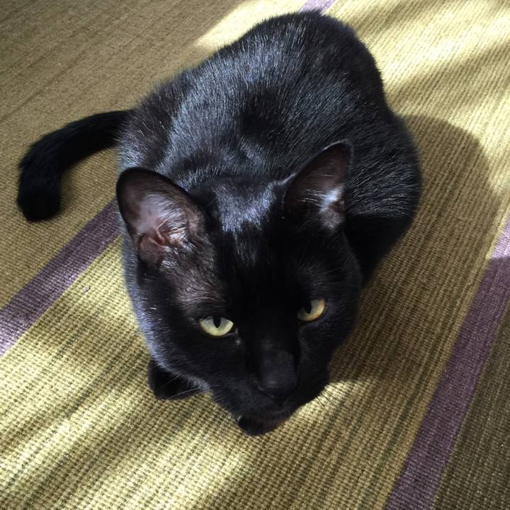 5c612a50 f09c 409e 9db7 7241878a614e 1540699510155