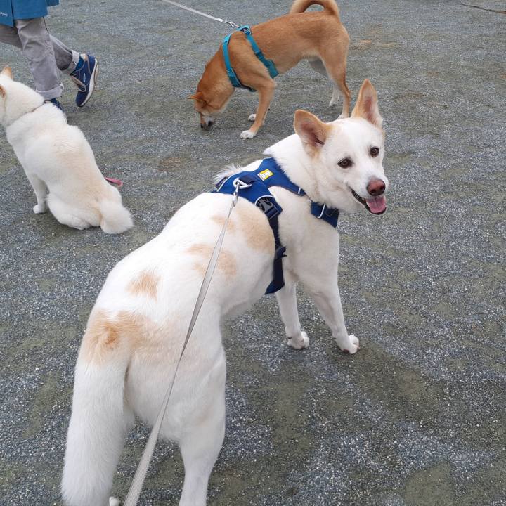 5c613f45 c80e 48d8 9906 0a9d8279b015 1683942692668