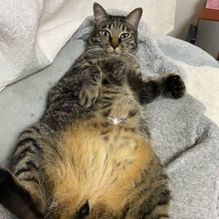 5c617be6 3eb7 40a2 ab1a 7549b5cf2c99 1685448047184